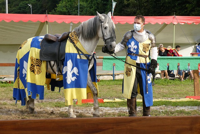 略的核心力 略的核心力