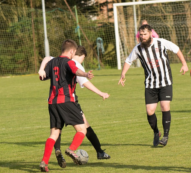 无疑验证了 无疑验证了