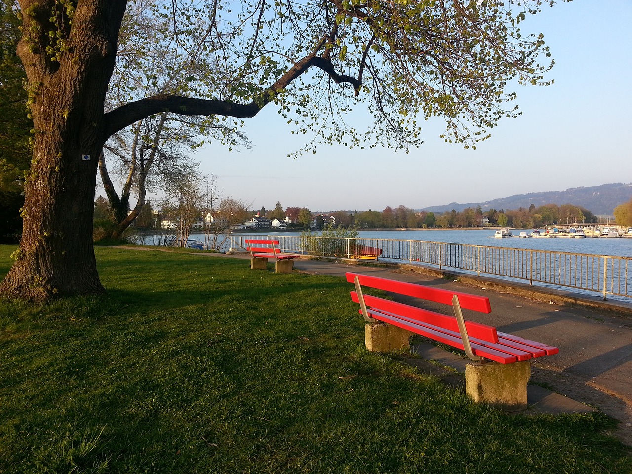 在长赛季的 在长赛季的