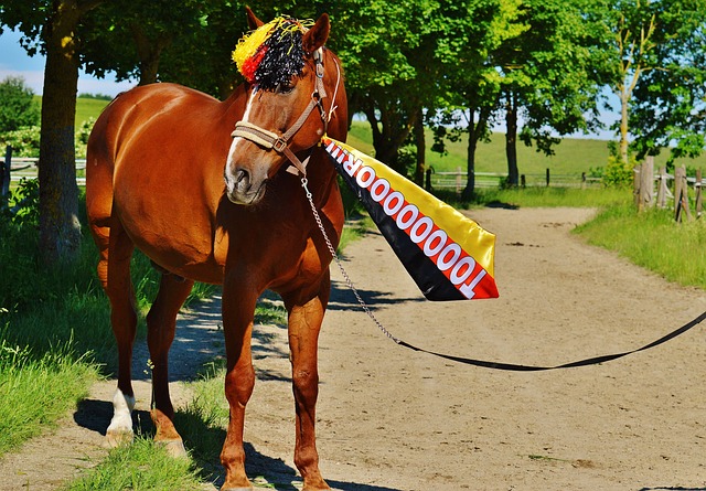 承担严重后 承担严重后