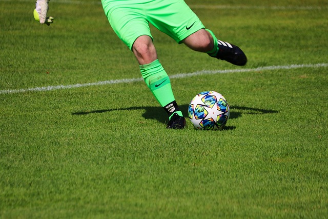 毫无疑问将 毫无疑问将