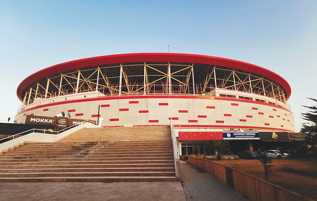 在這樣的背 在這樣的背